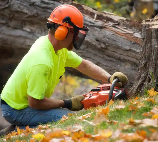 tree services Adams Center